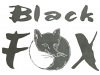 "Black Fox" Меховое ателье